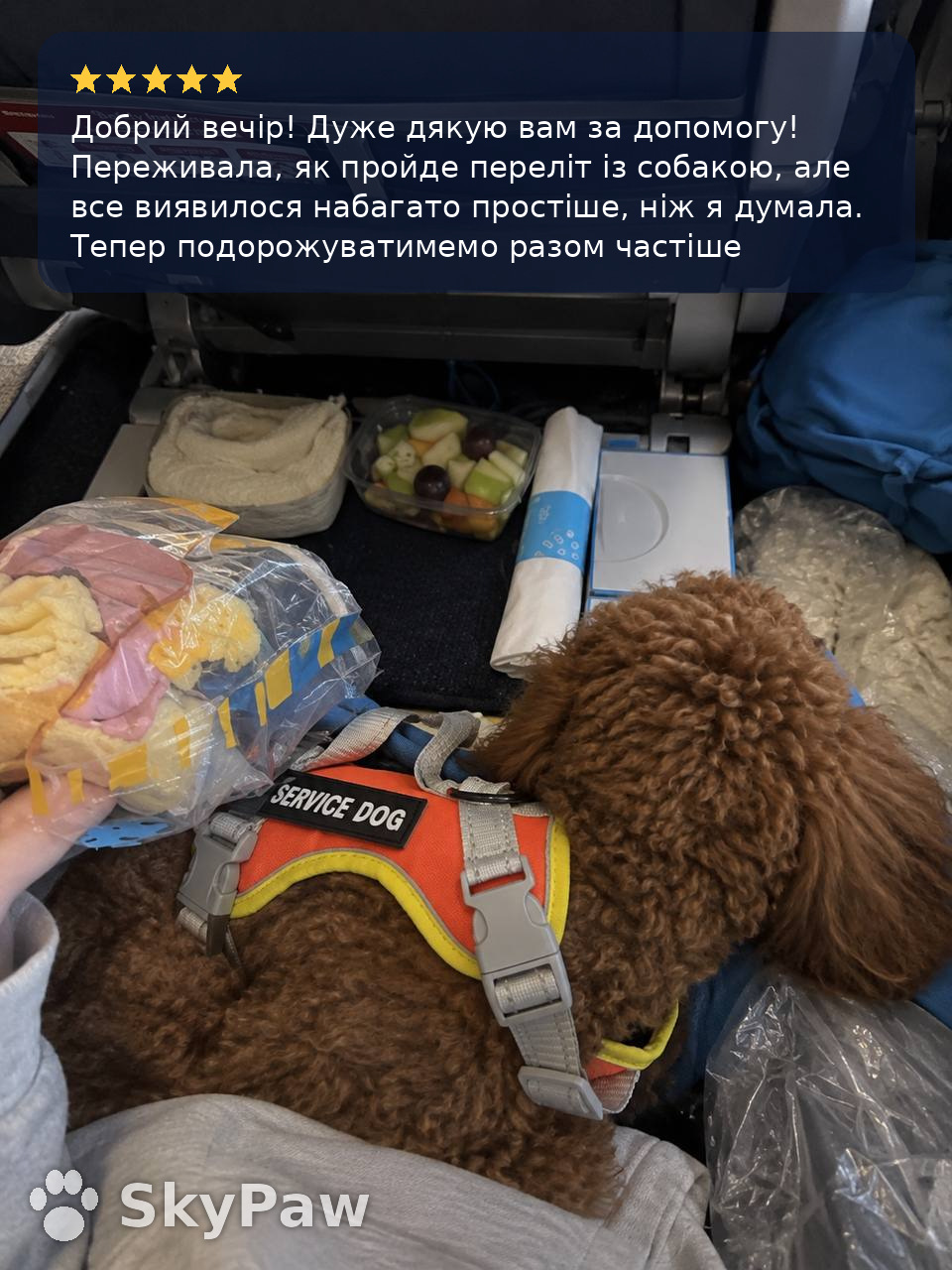 Відгук клієнта SkyPaw, фото 1