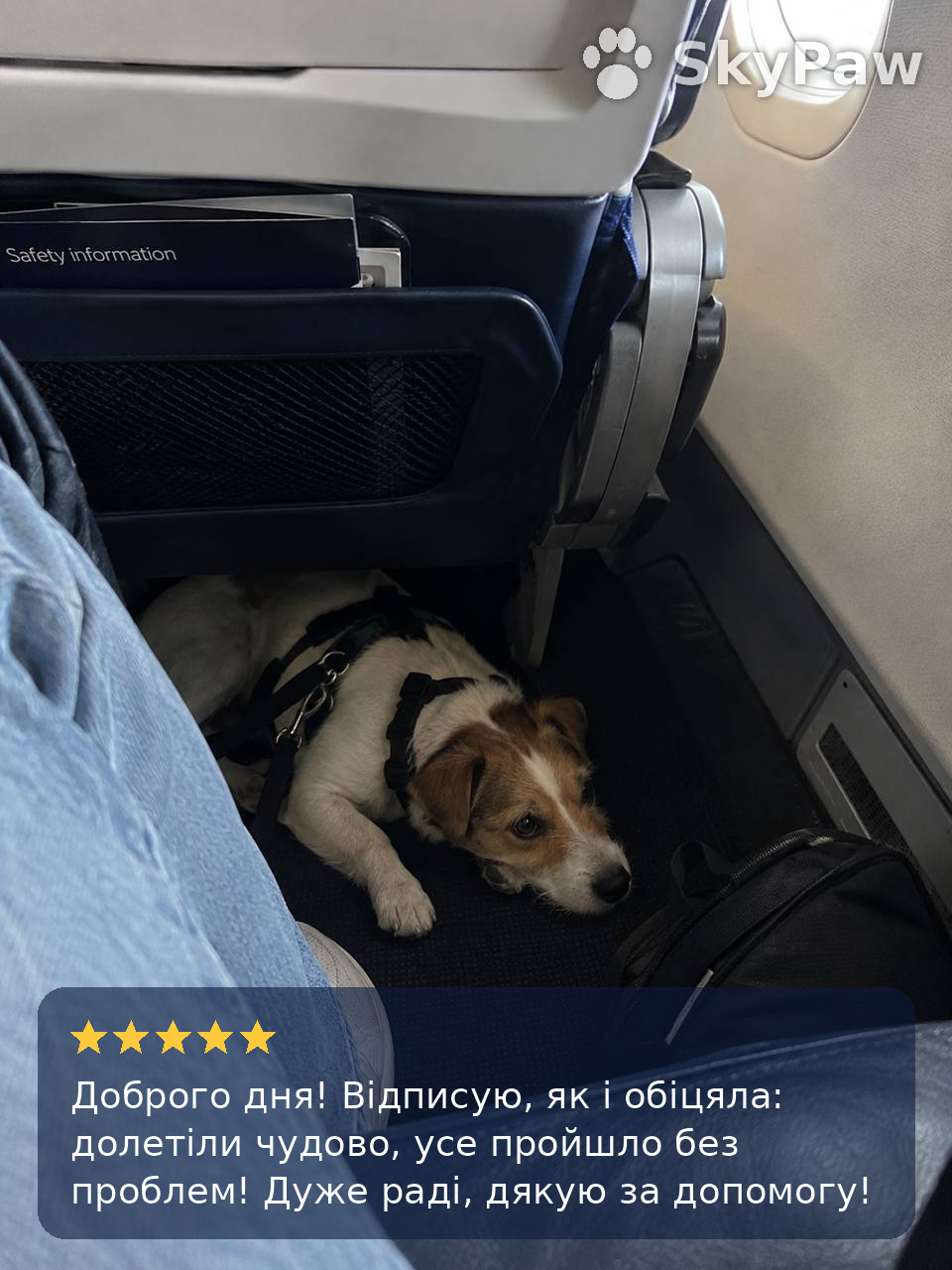 Відгук клієнта SkyPaw, фото 10
